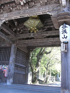 f0009451_114717.jpg