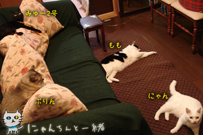 e0031853_06490.jpg