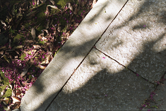 f0176353_23105722.jpg
