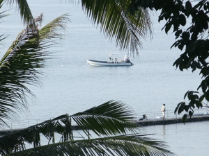 f0190653_1283118.gif