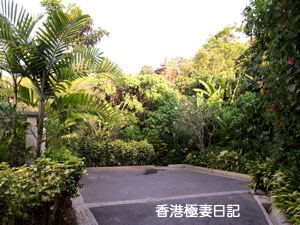 f0190653_1291861.jpg