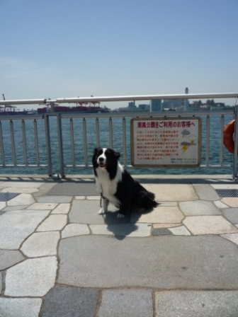 a0157156_2333159.jpg
