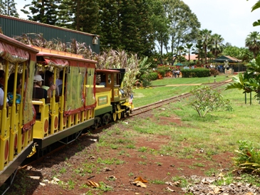 c0102268_223249.jpg