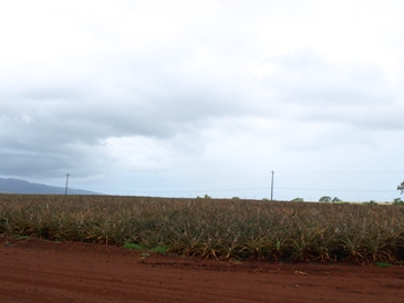 c0102268_22434792.jpg