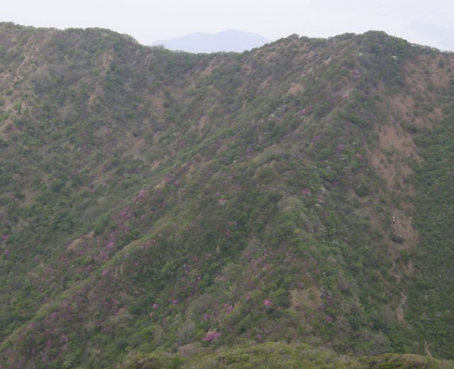 c0042869_7143367.jpg