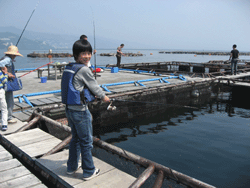 f0082772_15381580.gif