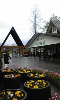 c0061774_21455394.jpg