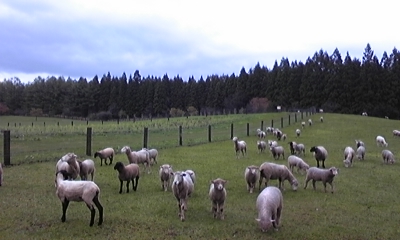 c0061774_21484035.jpg