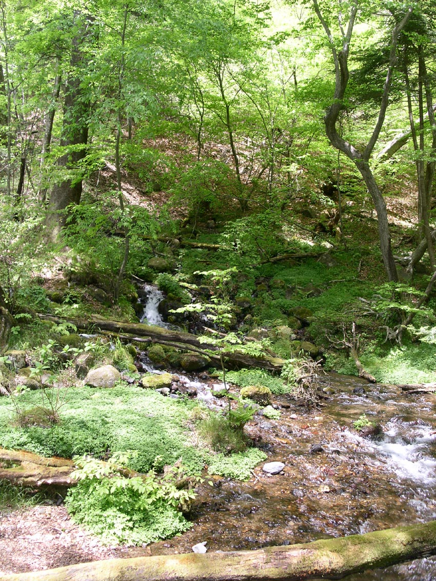 e0118274_20393547.jpg