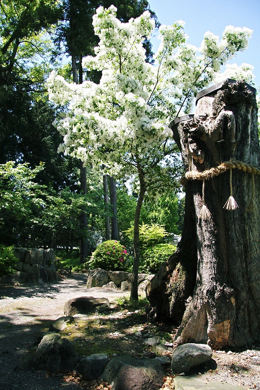 c0196076_2224528.jpg