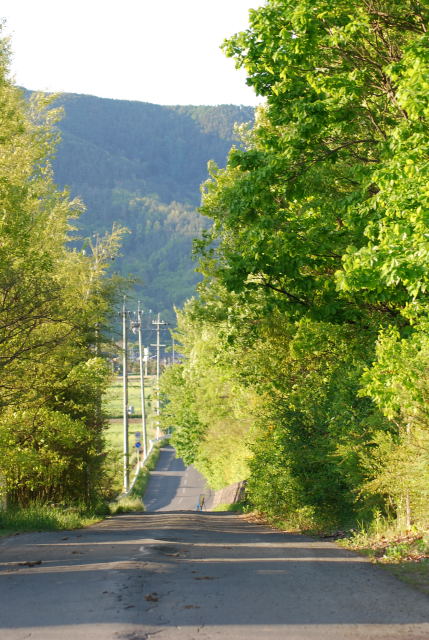 a0158478_218228.jpg
