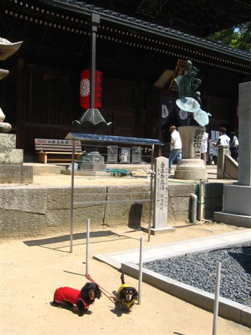 d0143284_3412331.jpg