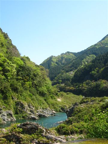 d0143284_4351967.jpg