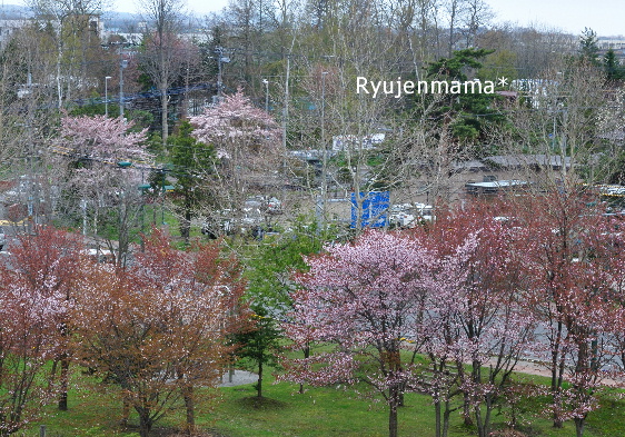b0169987_18174822.jpg