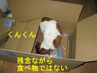 e0121589_18485155.jpg