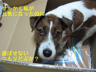 e0121589_18505481.jpg