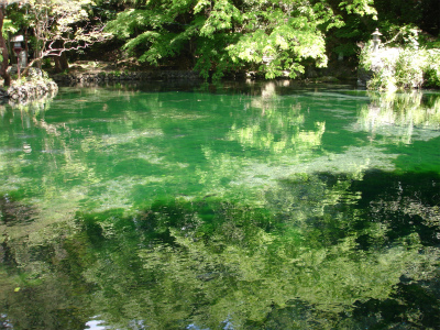 e0152990_16345216.jpg