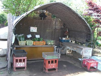 f0234590_1721131.jpg