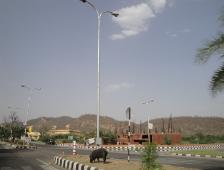 a0146493_22492447.jpg