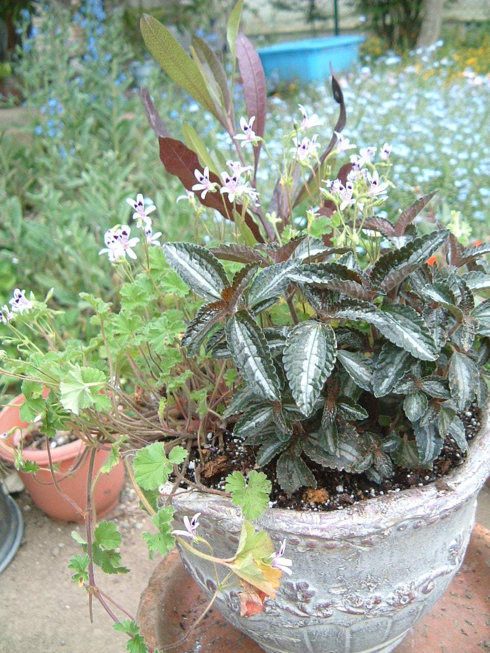 b0183497_18422012.jpg