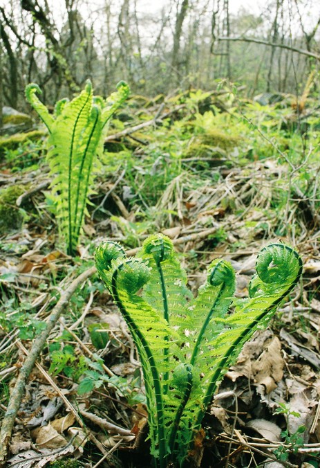 f0220698_2043630.jpg