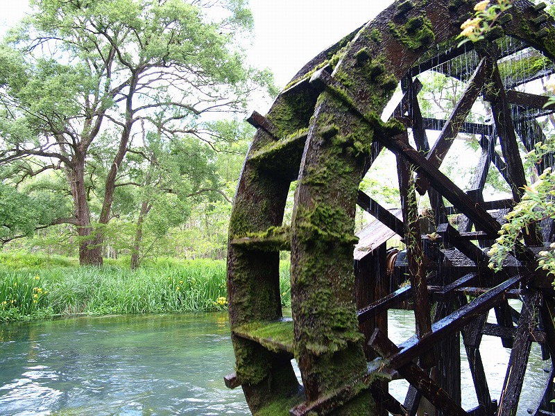 f0224100_5381593.jpg