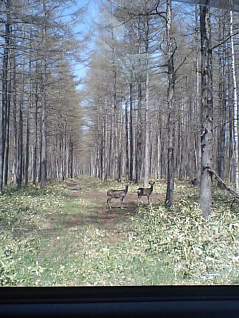 f0020302_23393850.jpg