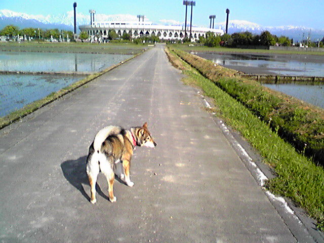 f0079202_2036611.jpg