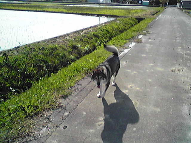 f0079202_2036676.jpg