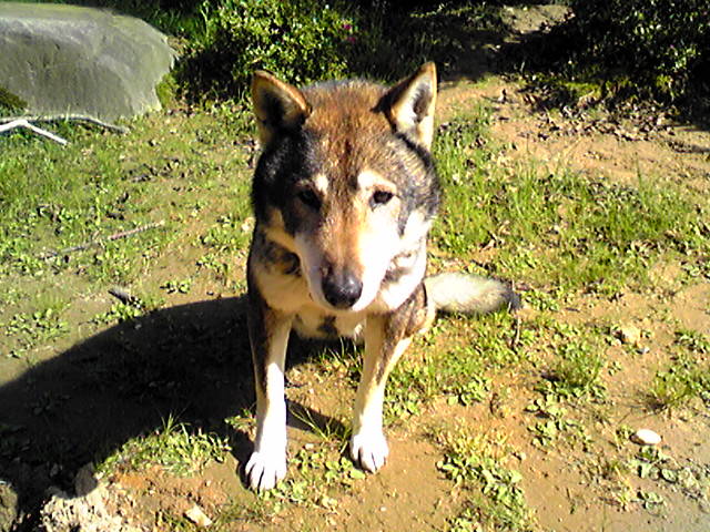 f0079202_2036688.jpg