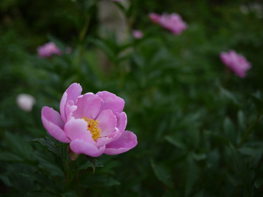 c0187503_22133185.jpg