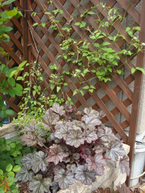e0175905_2122358.jpg