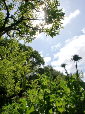 f0144707_16104633.jpg