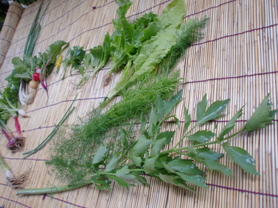 f0144707_16111219.jpg