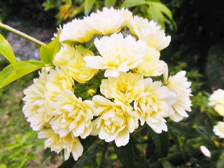 e0098908_22582053.jpg