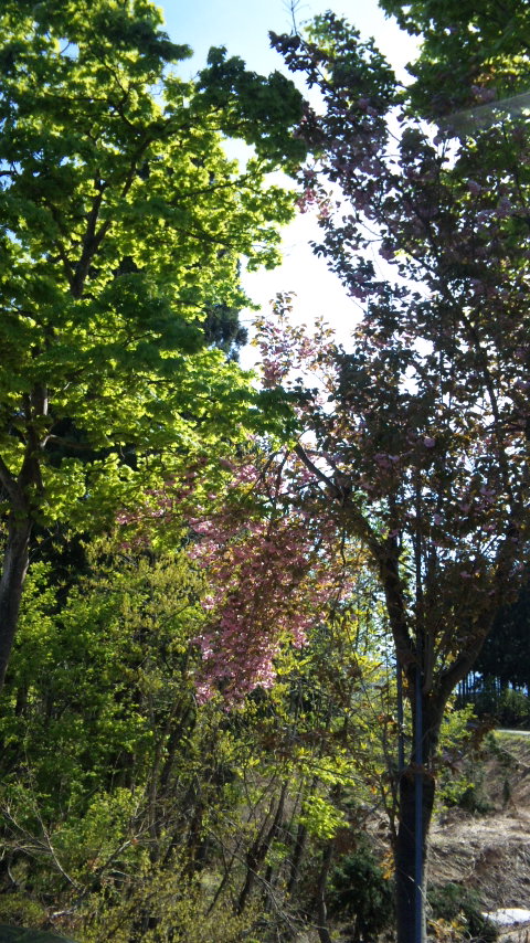 f0121909_15111485.jpg