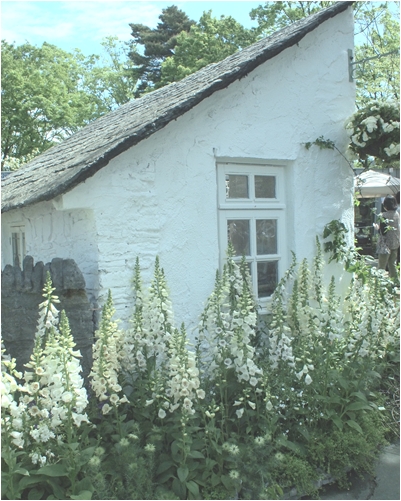 c0186410_8201870.jpg