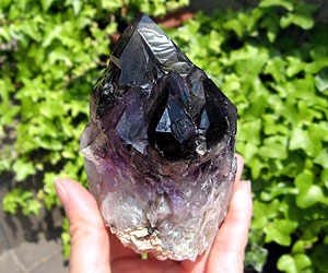 e0139012_20325386.jpg