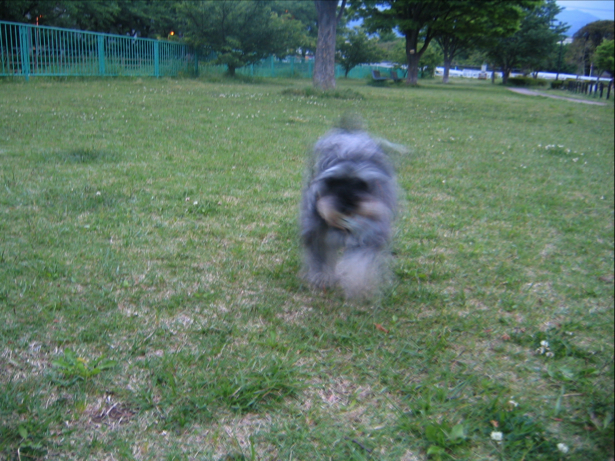 c0219815_2248523.jpg
