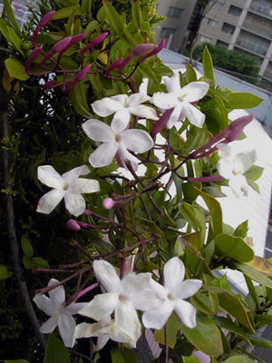 f0036716_14562735.jpg