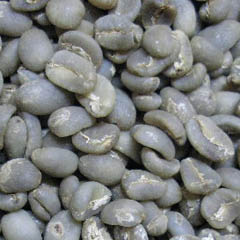 c0036617_741243.jpg
