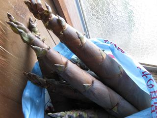 c0226317_19295780.jpg