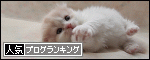 人気ブログ・ランキングへ