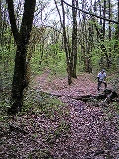 f0028123_2314678.jpg