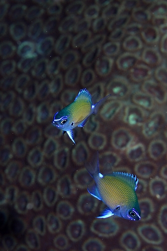 f0206424_1153662.jpg