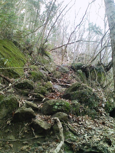 b0184725_0294245.jpg
