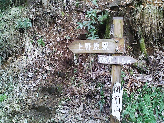 b0184725_0332156.jpg