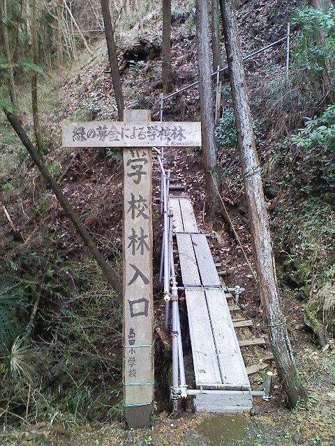 b0184725_0391673.jpg