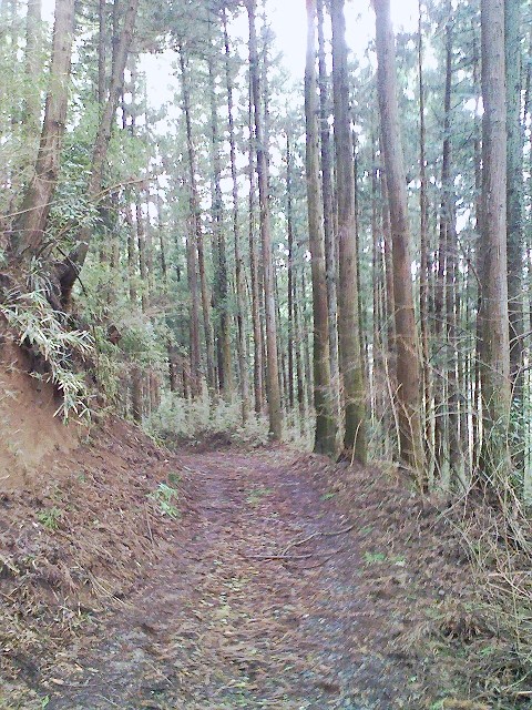 b0184725_0444622.jpg