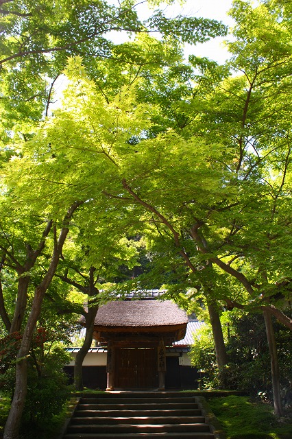 d0085025_23201959.jpg